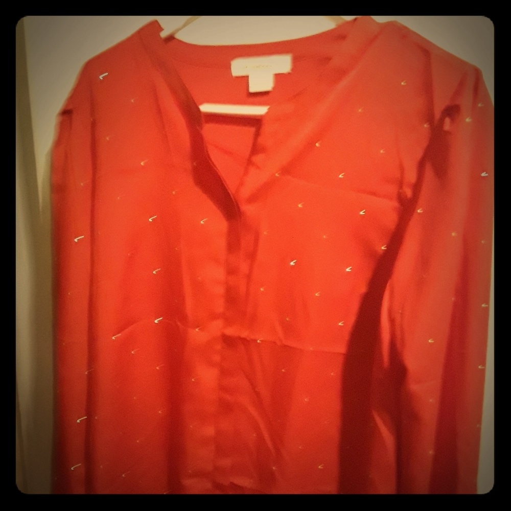 Sparkly Blouse
